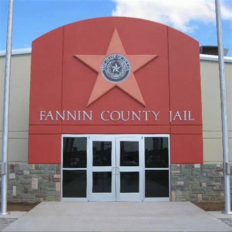 fannin county jail mugshots|fannin county jail inmate lookup.